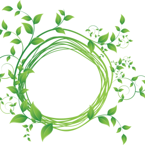 Floral frame PNG