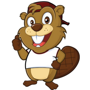 Beaver PNG