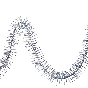 Christmas tinsel PNG