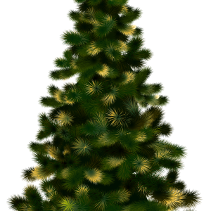 Christmas tree PNG
