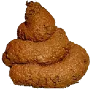 Poop PNG