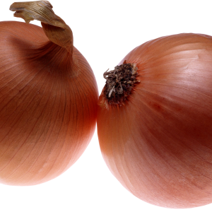 Onion PNG image, free download picture