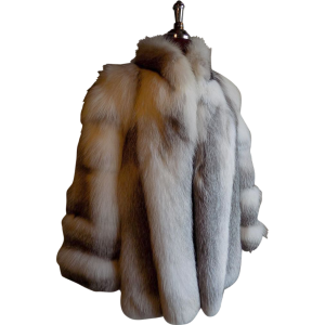 Fur coat PNG