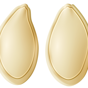 Pumpkin seeds PNG