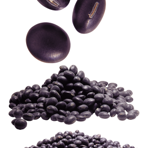 Kidney beans PNG