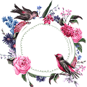Floral frame PNG