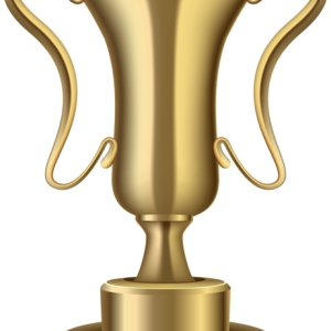 Award trophy cup