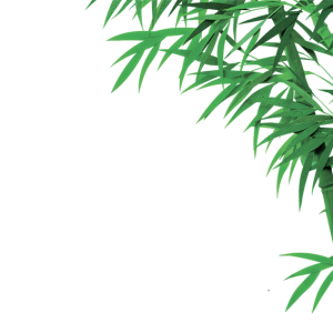 Bamboo PNG