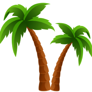 Palm tree PNG
