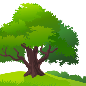 tree PNG