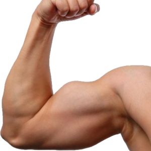Muscle hand PNG