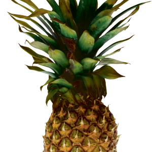 Pineapple PNG image, free download