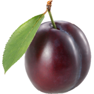 Plum PNG image