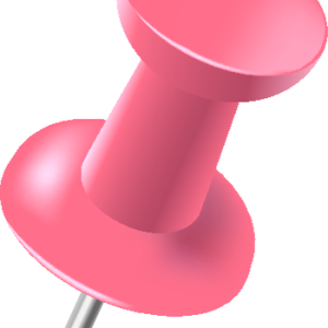 Pin PNG