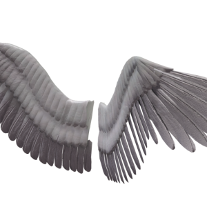 Wings PNG