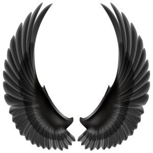 Wings PNG