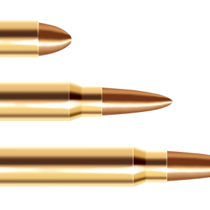 Bullets PNG image