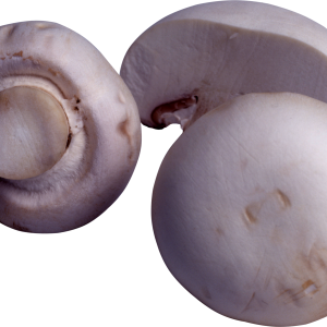 Mushroom PNG image
