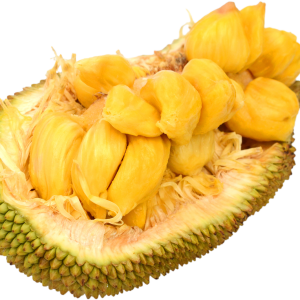 Jackfruit PNG