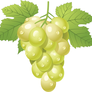 Green grape PNG image