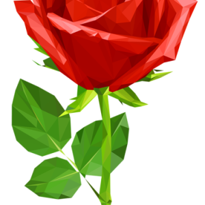Rose PNG