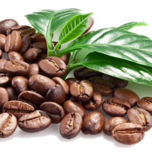 Coffee beans PNG