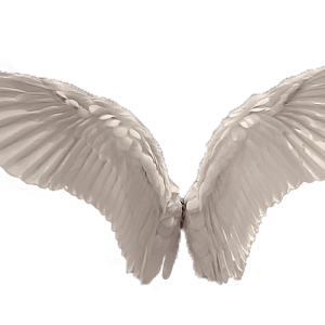 Wings PNG