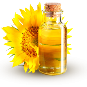 Sunflower oil PNG