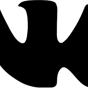 Vkontakte logo PNG