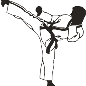 Karate PNG