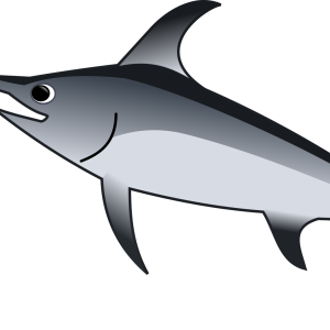 Swordfish PNG