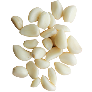 Garlic PNG