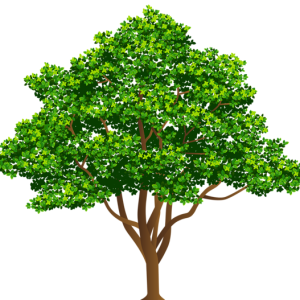 tree PNG