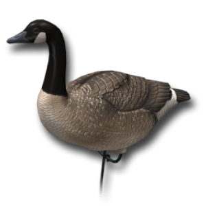 Goose PNG