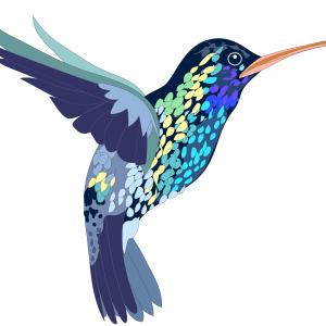 Hummingbird PNG