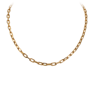 Jewelry PNG image