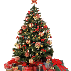 Christmas tree PNG
