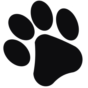 Paw PNG