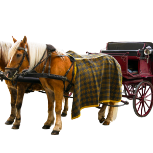 Carriage PNG