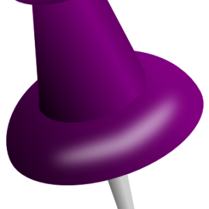 Pin PNG