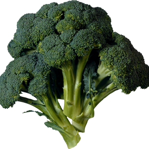 Broccoli PNG