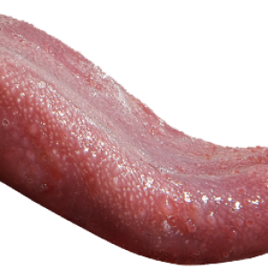 Tongue PNG