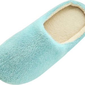Slippers PNG