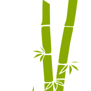 Bamboo PNG