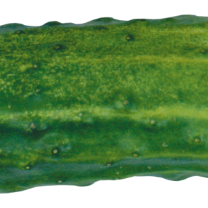 Cucumber PNG