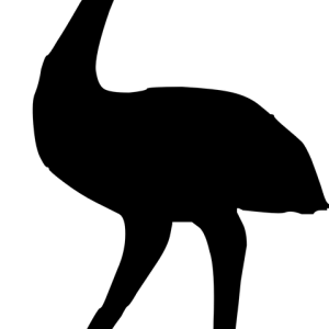Ostrich PNG