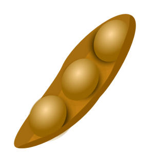 Soybean PNG