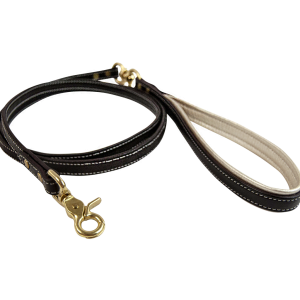 Leash PNG