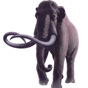 Mammoth PNG
