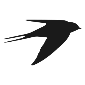 Swallow PNG